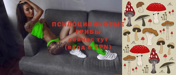 бутират Алексеевка