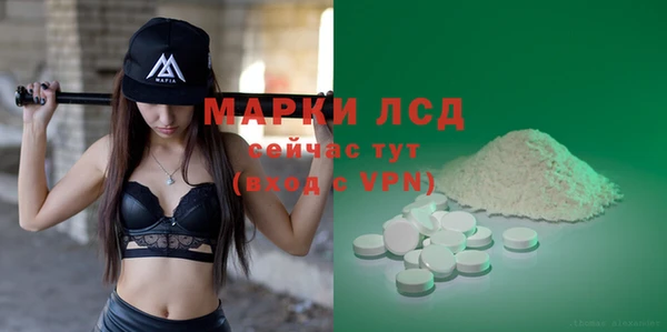 прущий лед Алзамай