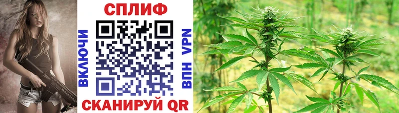 дарнет шоп  ссылка на мегу tor  Конопля сатива  Курск 